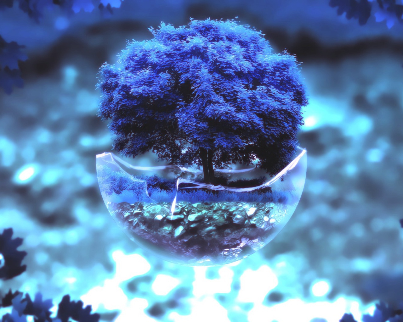 Бонсай с синим деревом