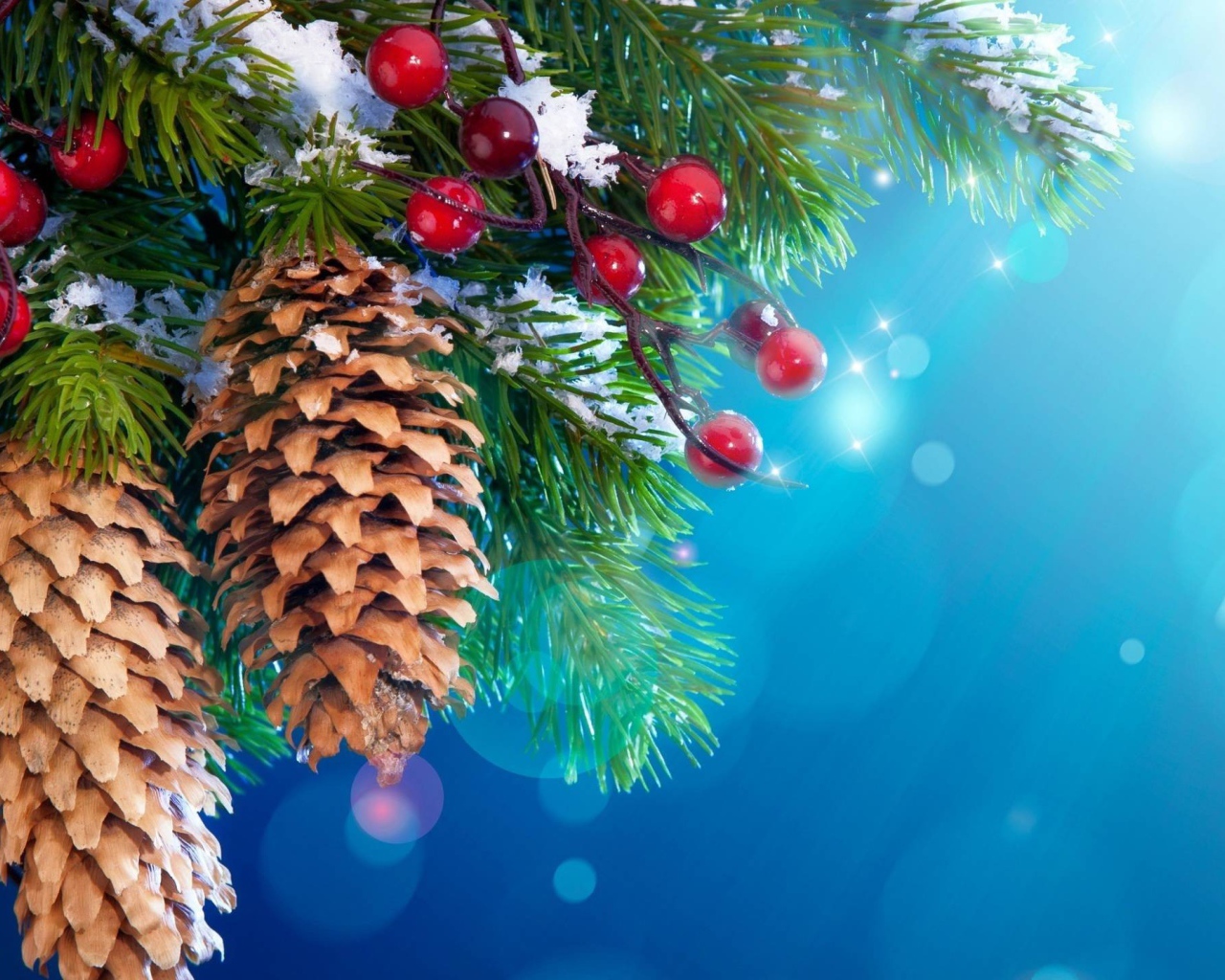 Шишки и ягоды на хвойном дереве