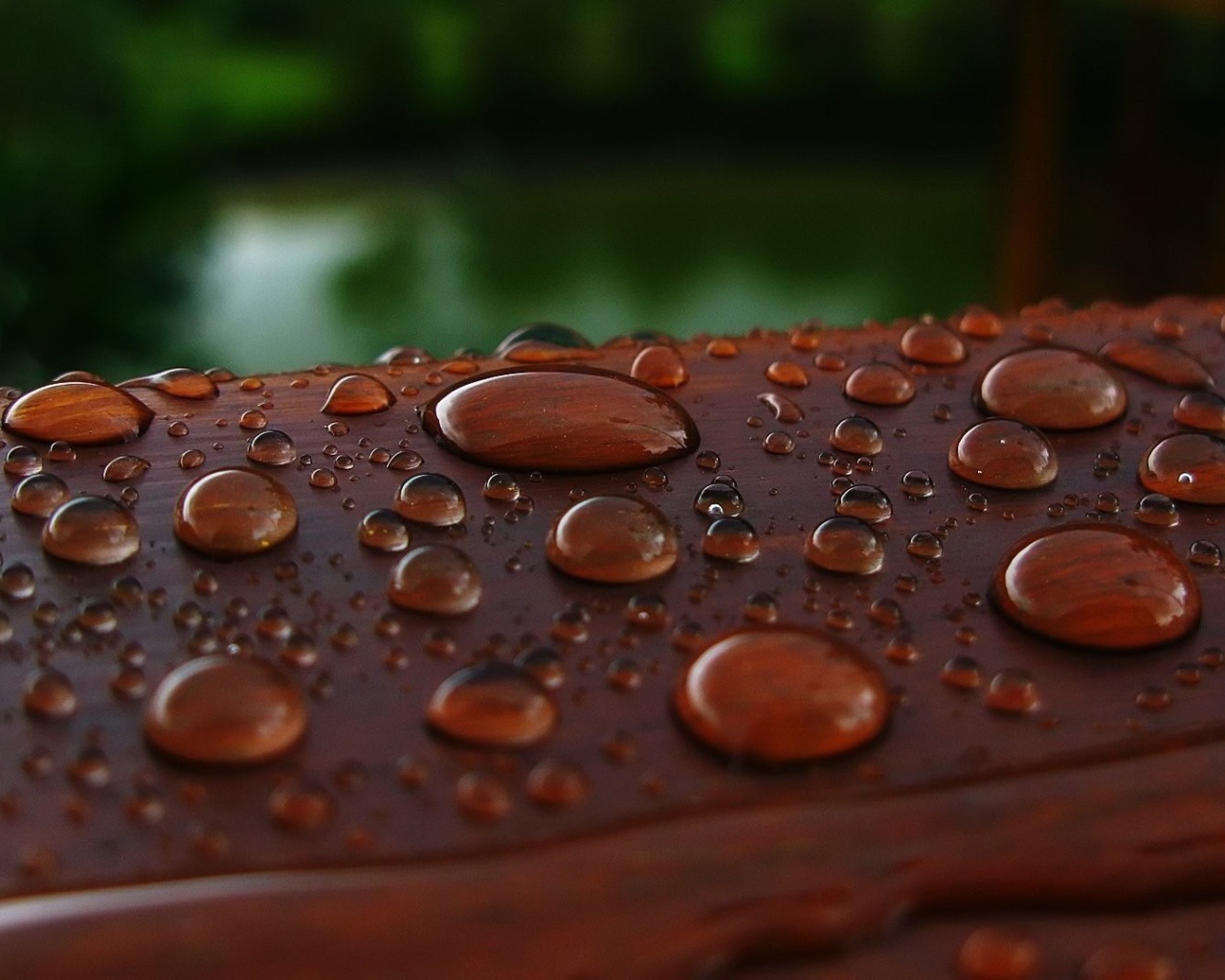 Капли влаги на коричневой поверхности