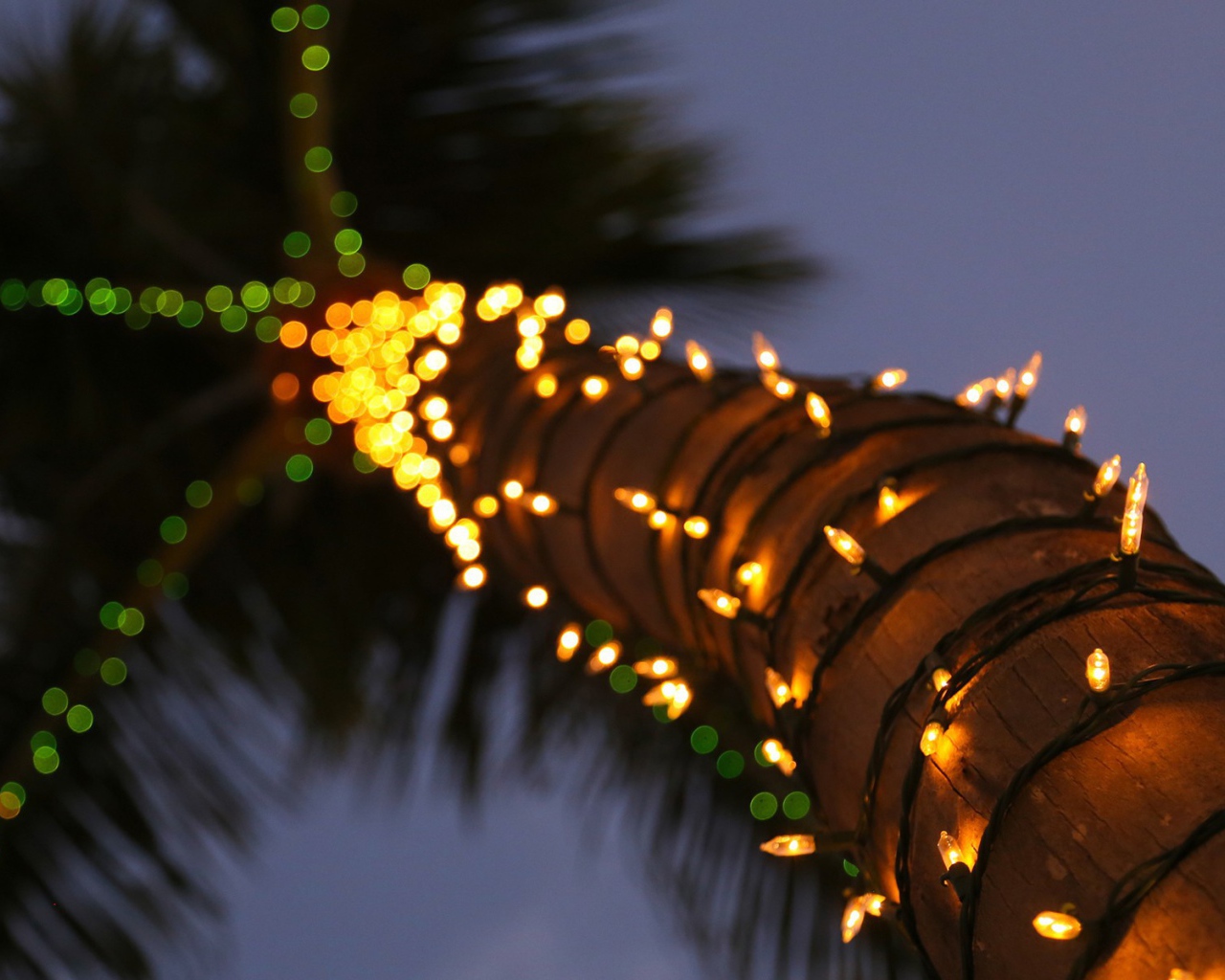 Гирлянды на стволе пальмы