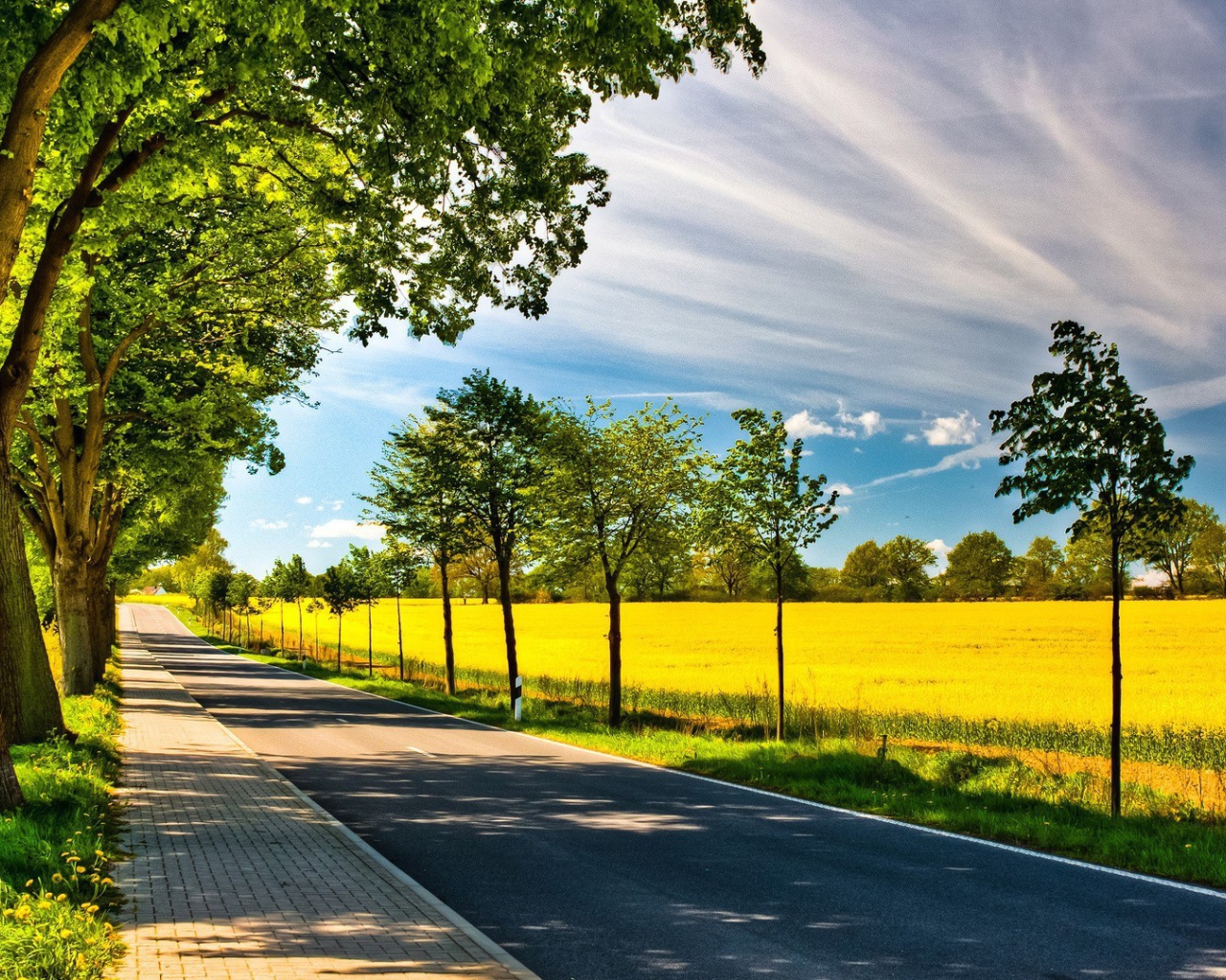 Аккуратная дорога по краю желтого поля