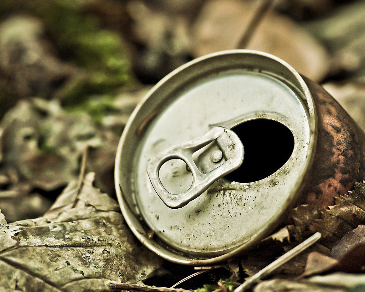 Старая банка из-под пива