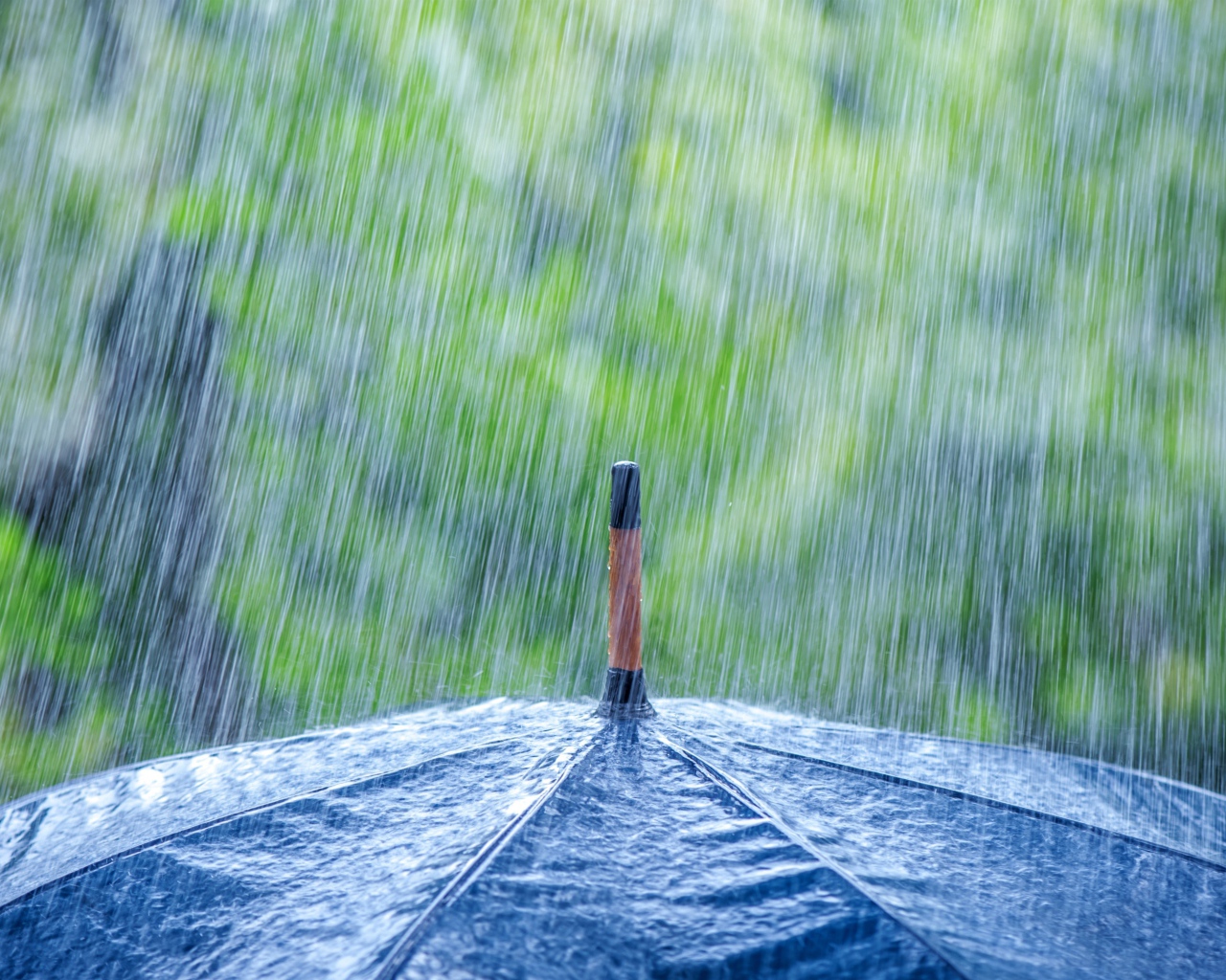 Дождь льется на черный зонт