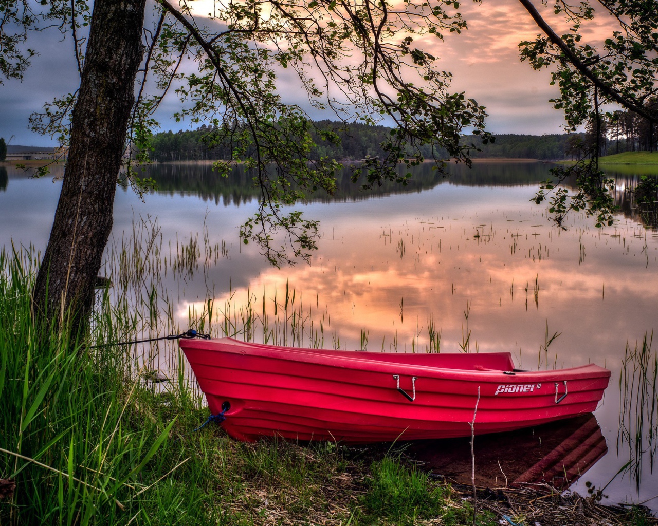 Красная лодка на берегу водоема