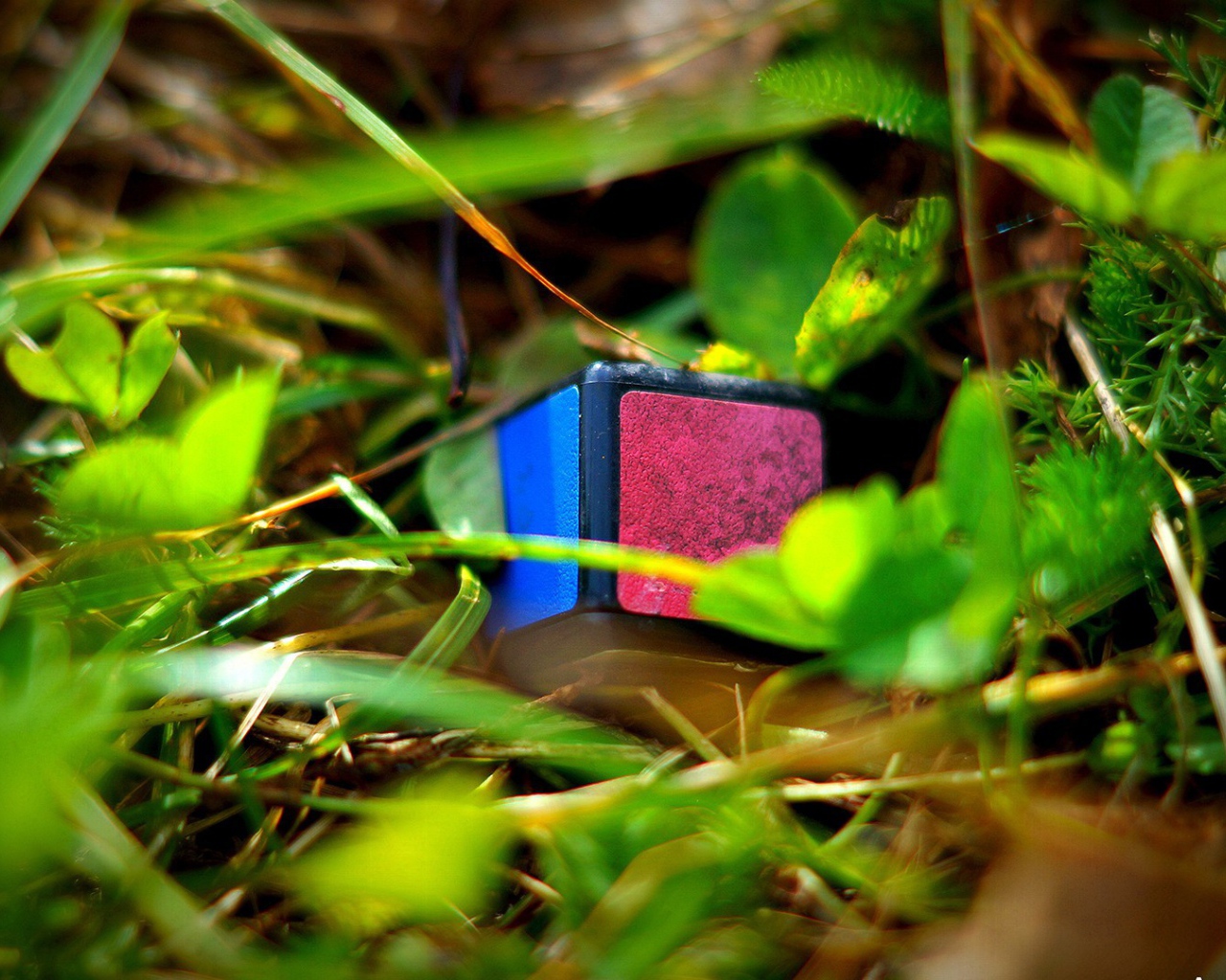 Элемент кубика Рубика лежит в траве