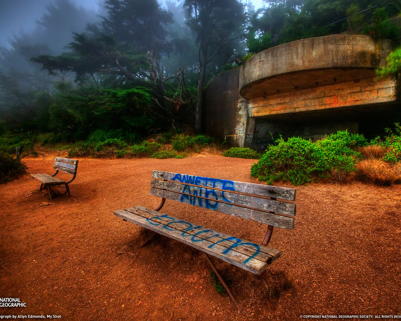 Надпись на скамейке