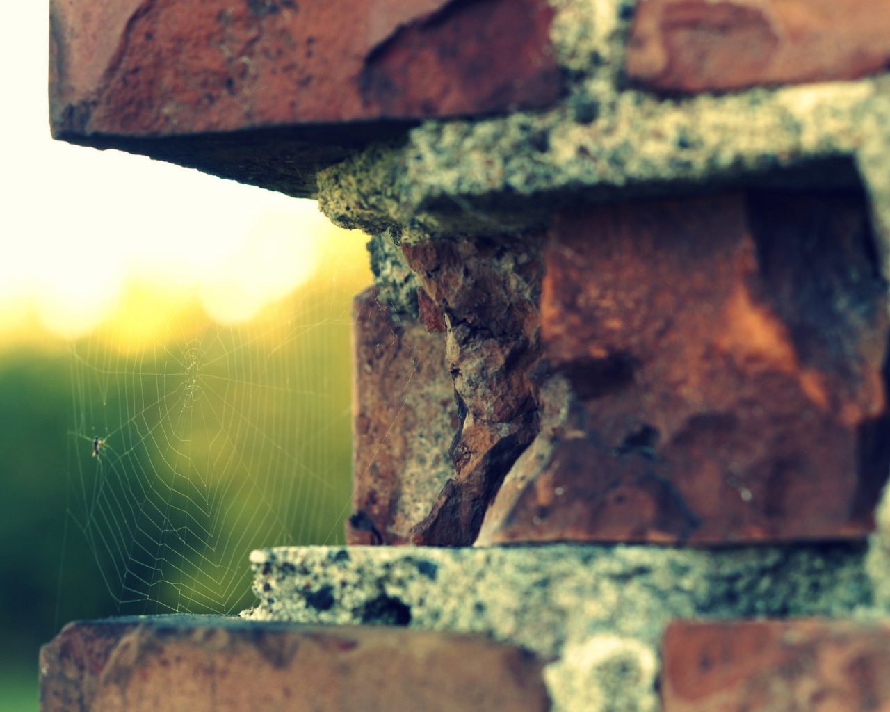 Паутина в выемке кирпичной кладки