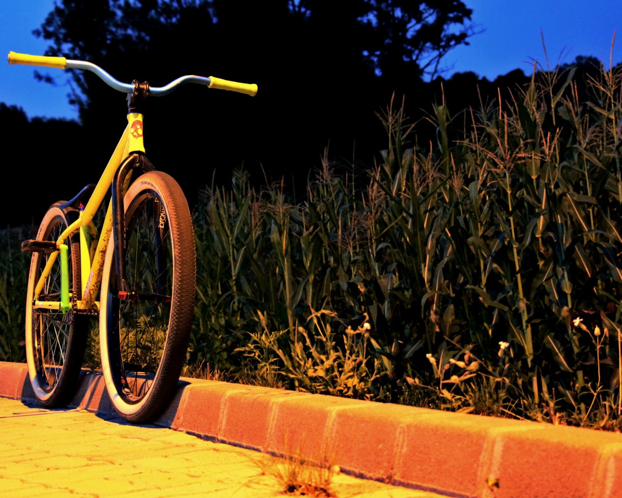 Желтый велосипед у обочины