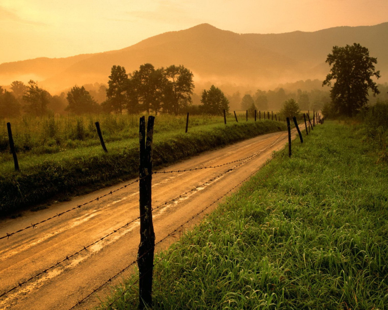 Колючая проволока вдоль дороги