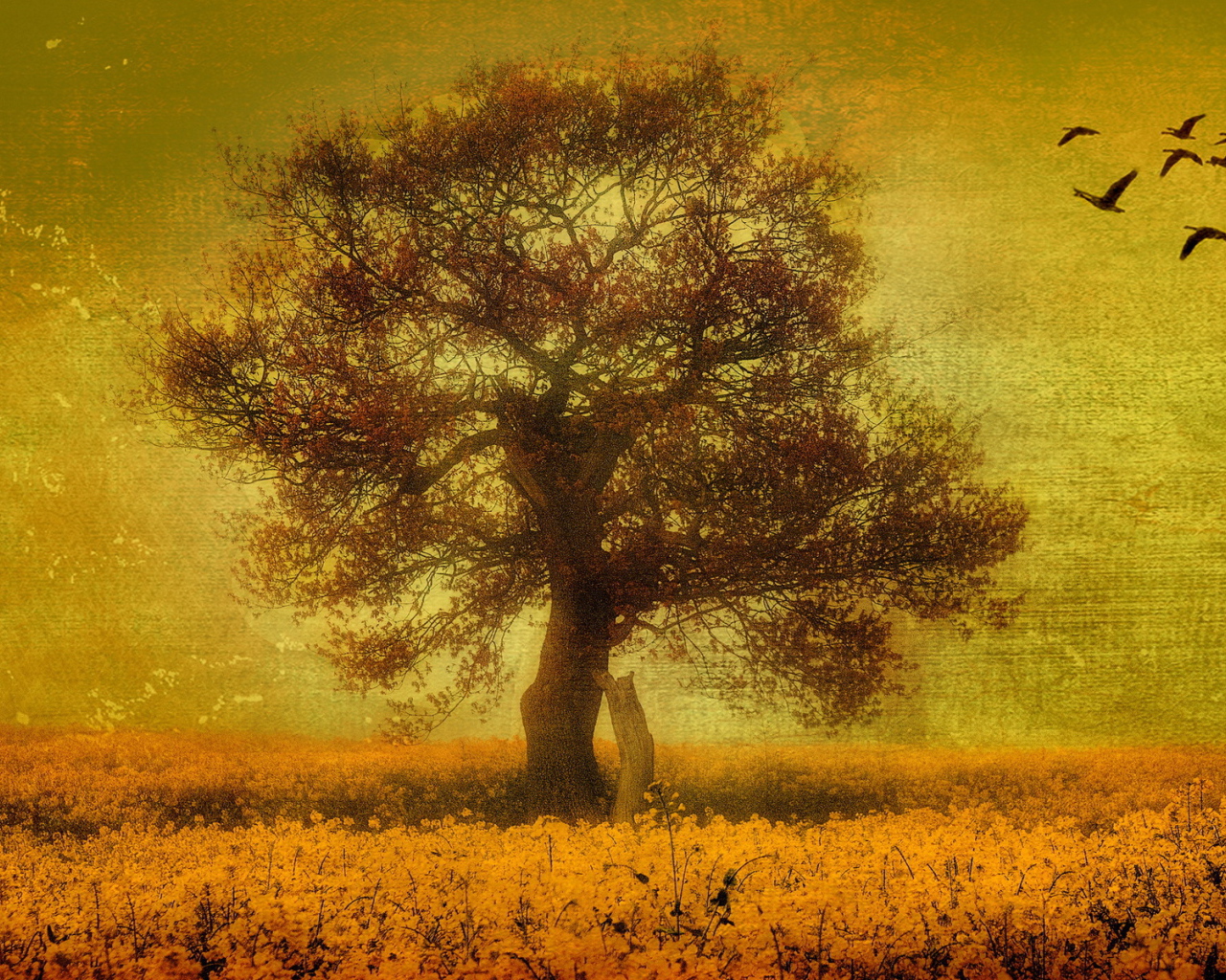 Птицы над одиноким деревом