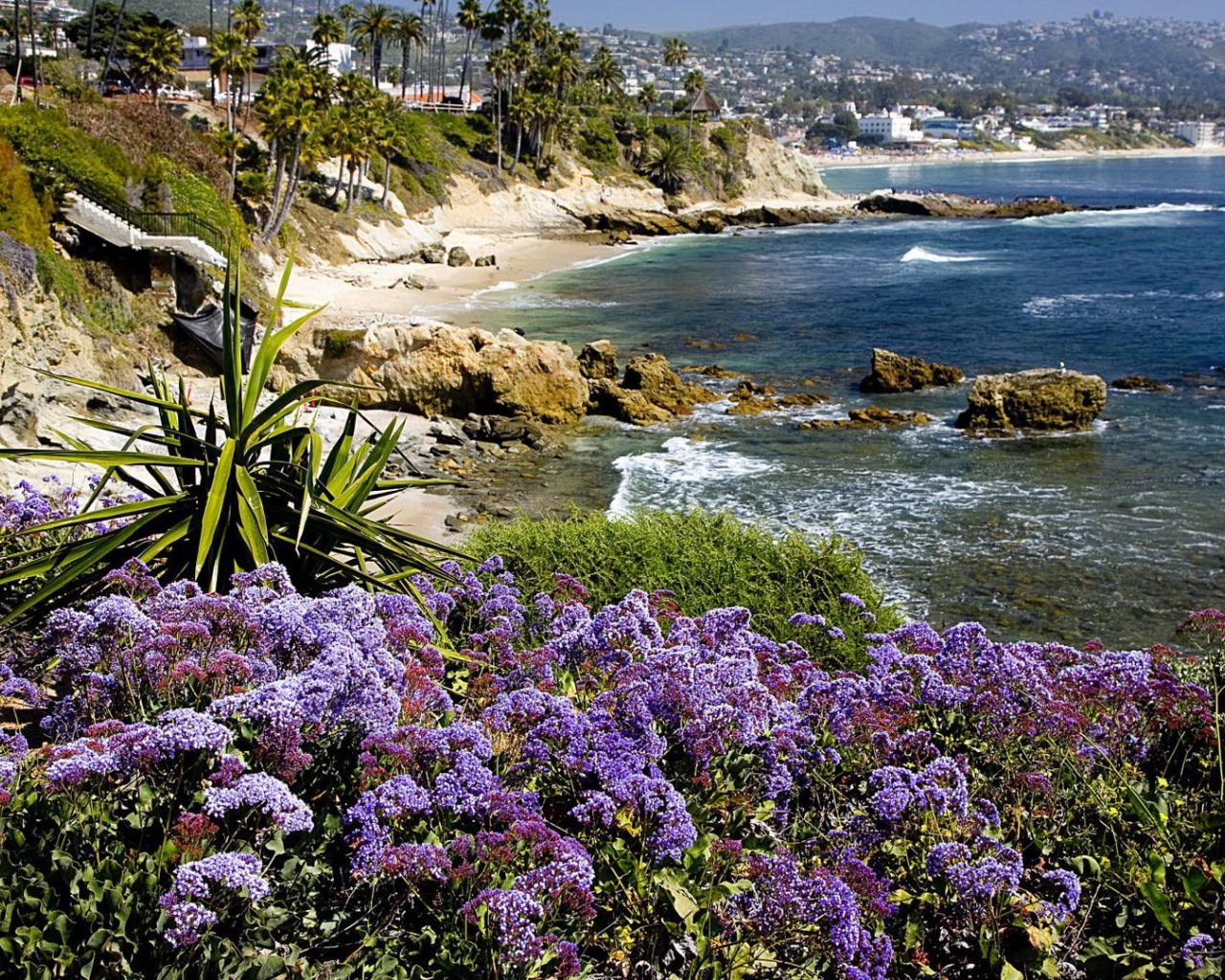 Экзотические растения на берегу моря