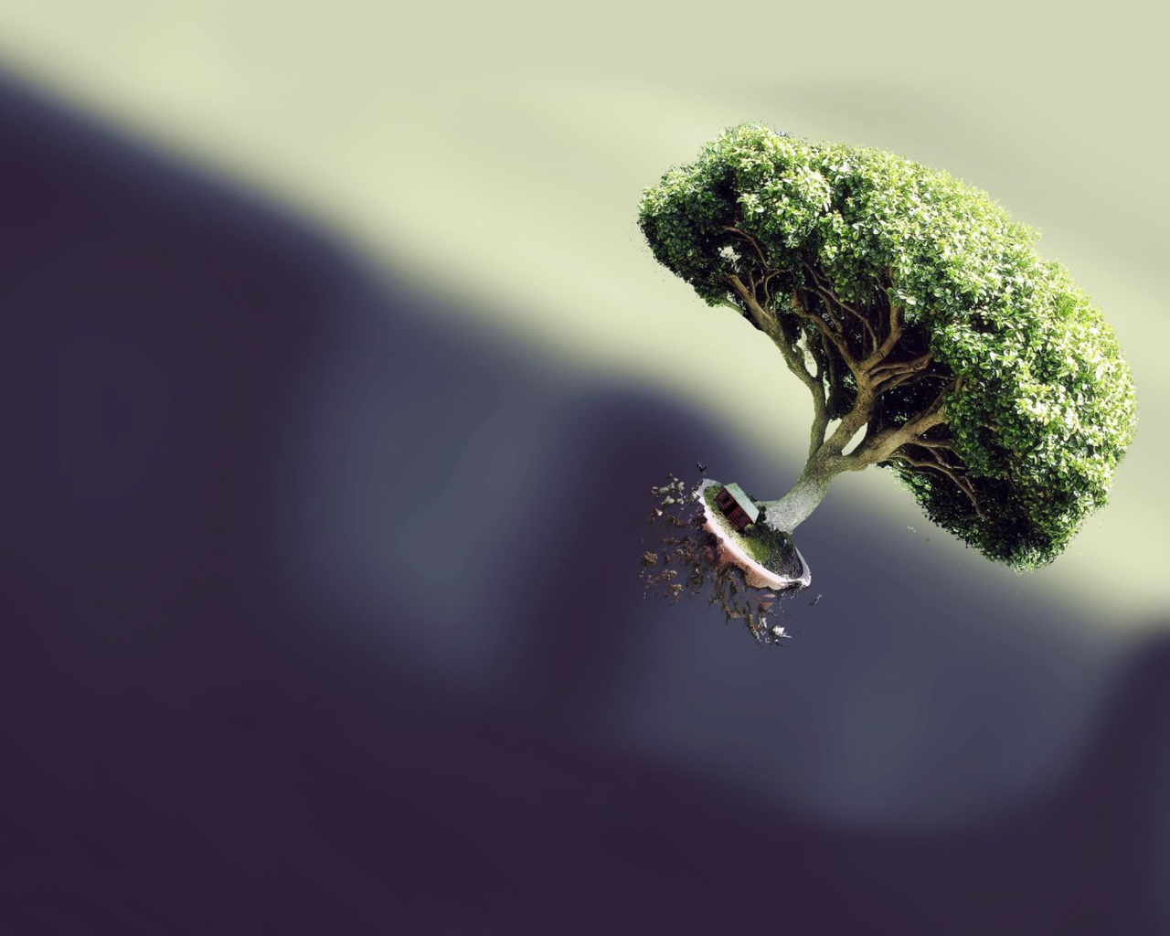 Летающее дерево на темном фоне