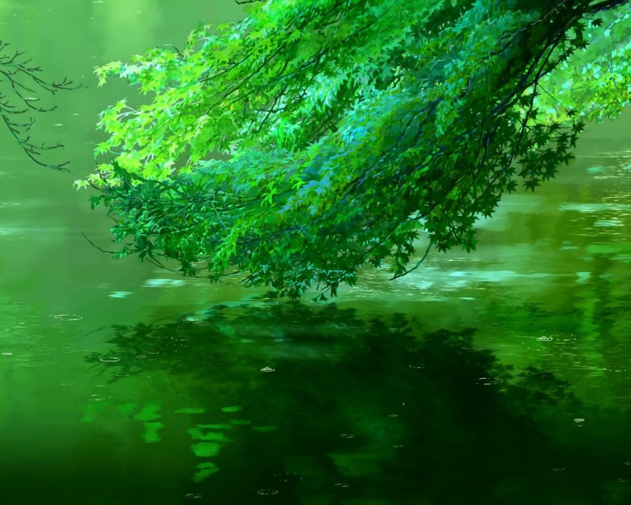 Зеленая ветка склонилась над водой