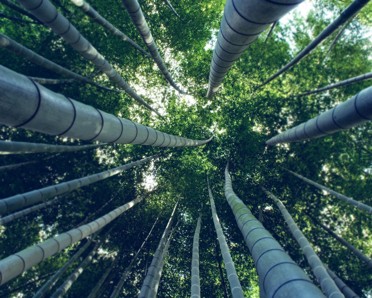 Под ветвями бамбука