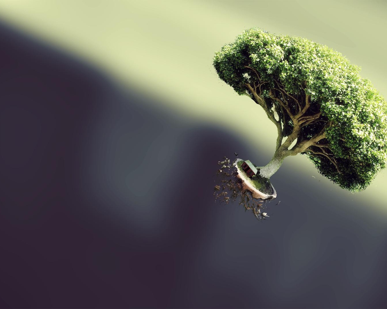 Дерево вырвалось на свободу