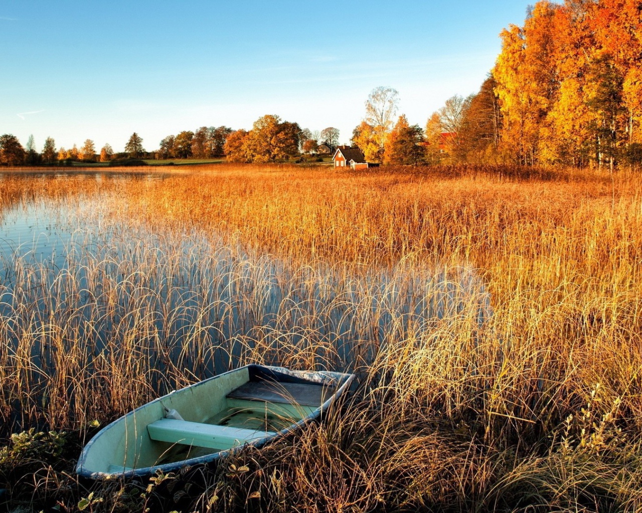 Лодка у берега заболоченного озера