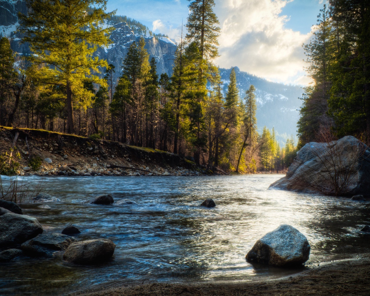 Валуны на берегу реки в лесу