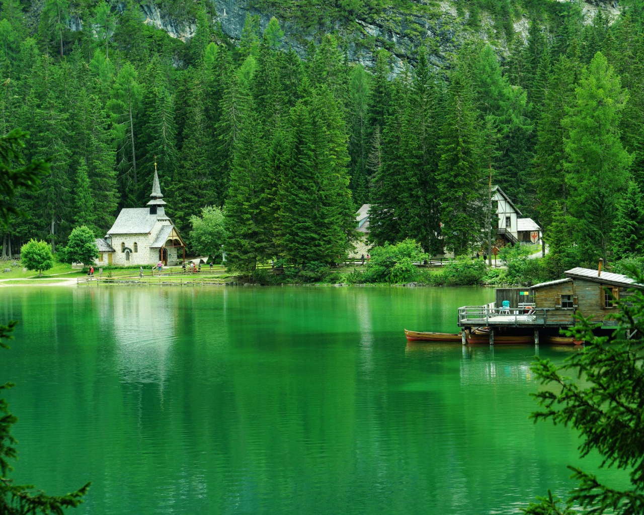 Хвойные деревья вокруг зеленого озера