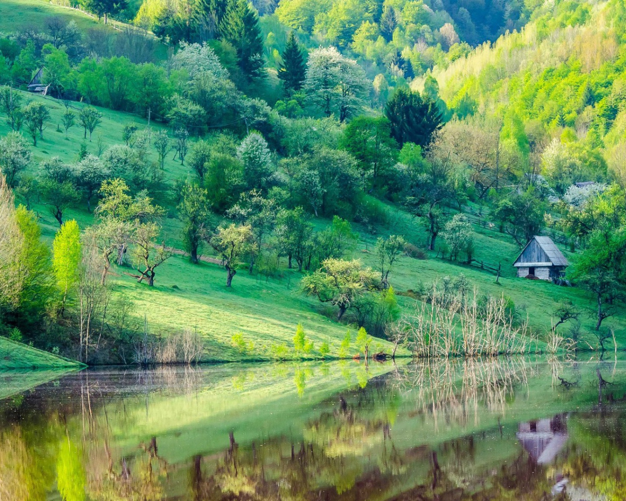 Зеленые склоны гор у озера