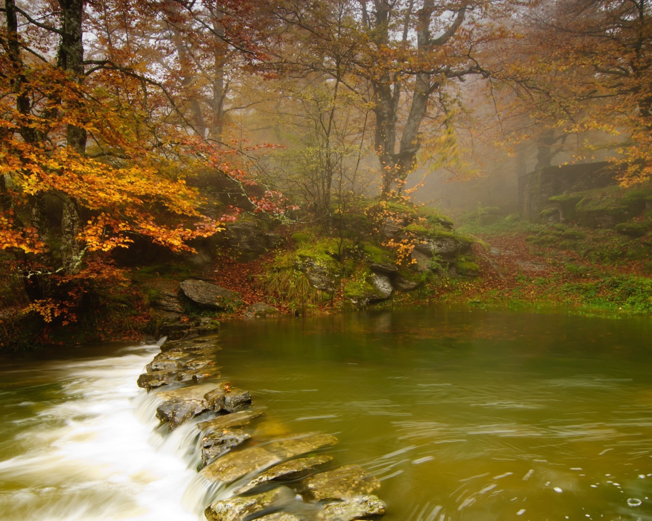 Зеленая вода в неглубокой реке