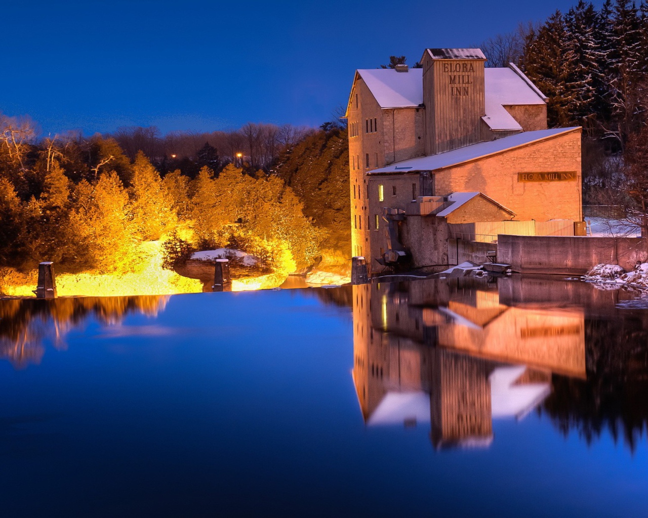 Освещенные деревья на берегу озера