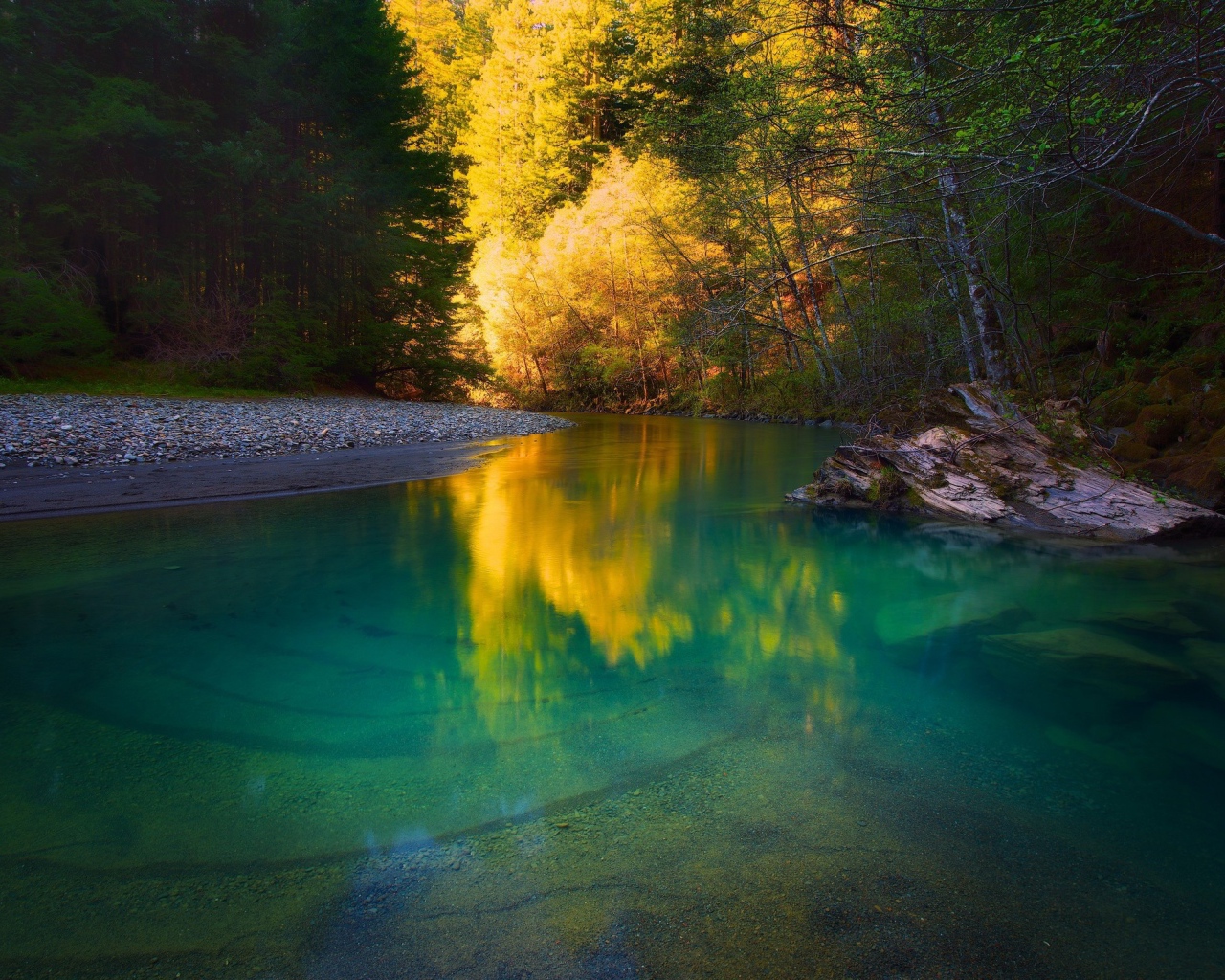 Галька на берегу спокойной мелкой реки в лесу