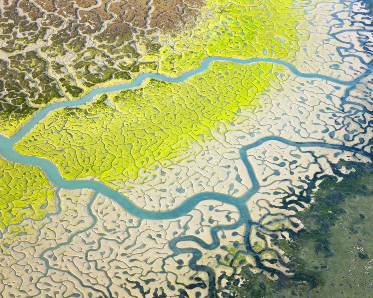 Снимок дельты реки из космоса
