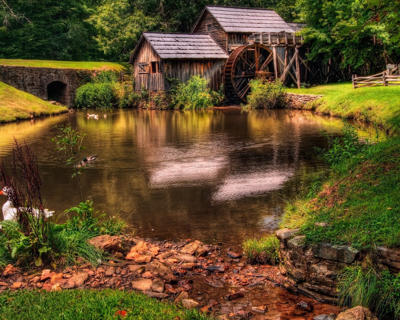 Пруд у деревянной мельницы