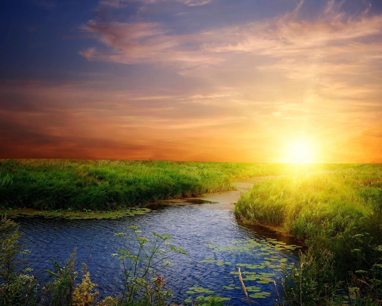 Река среди зеленой травы на закате