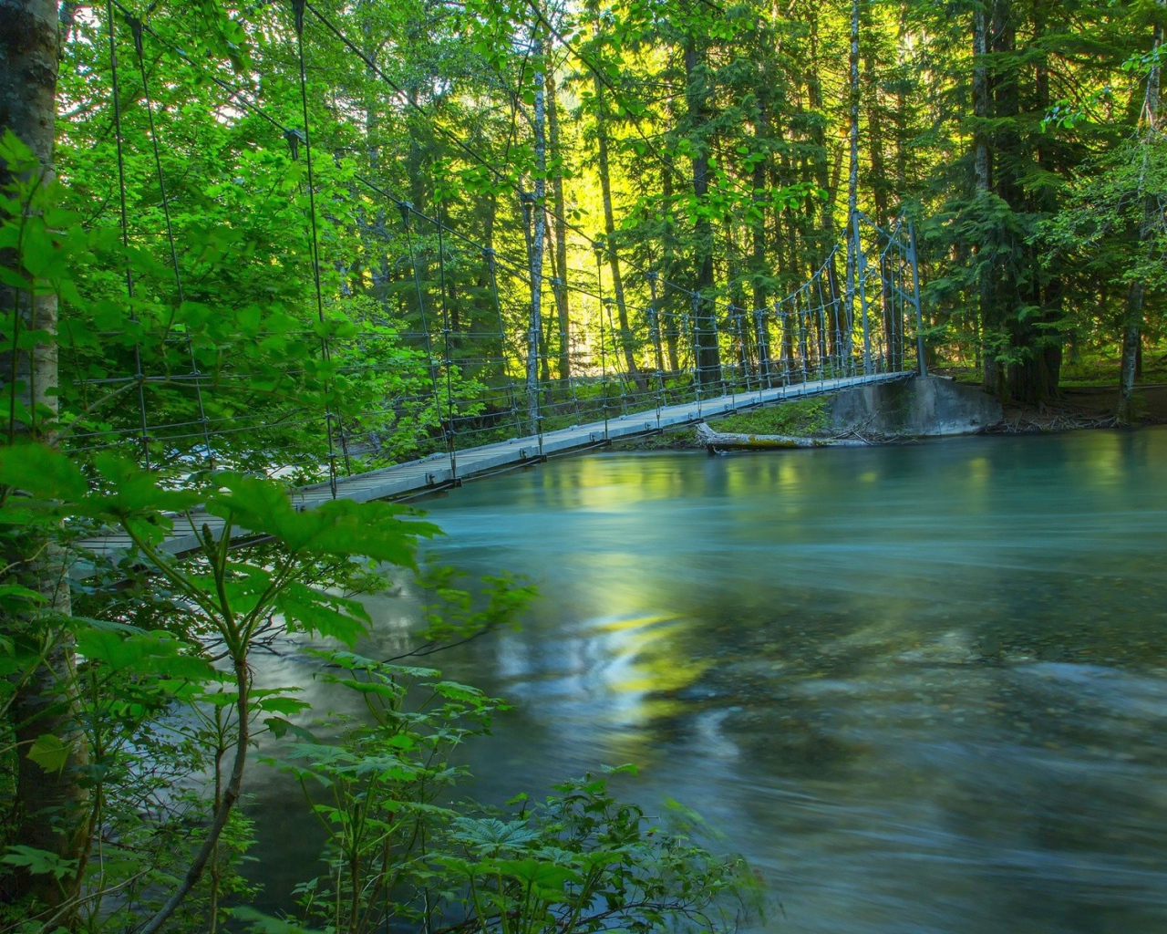 Веревочный мостик над рекой среди леса