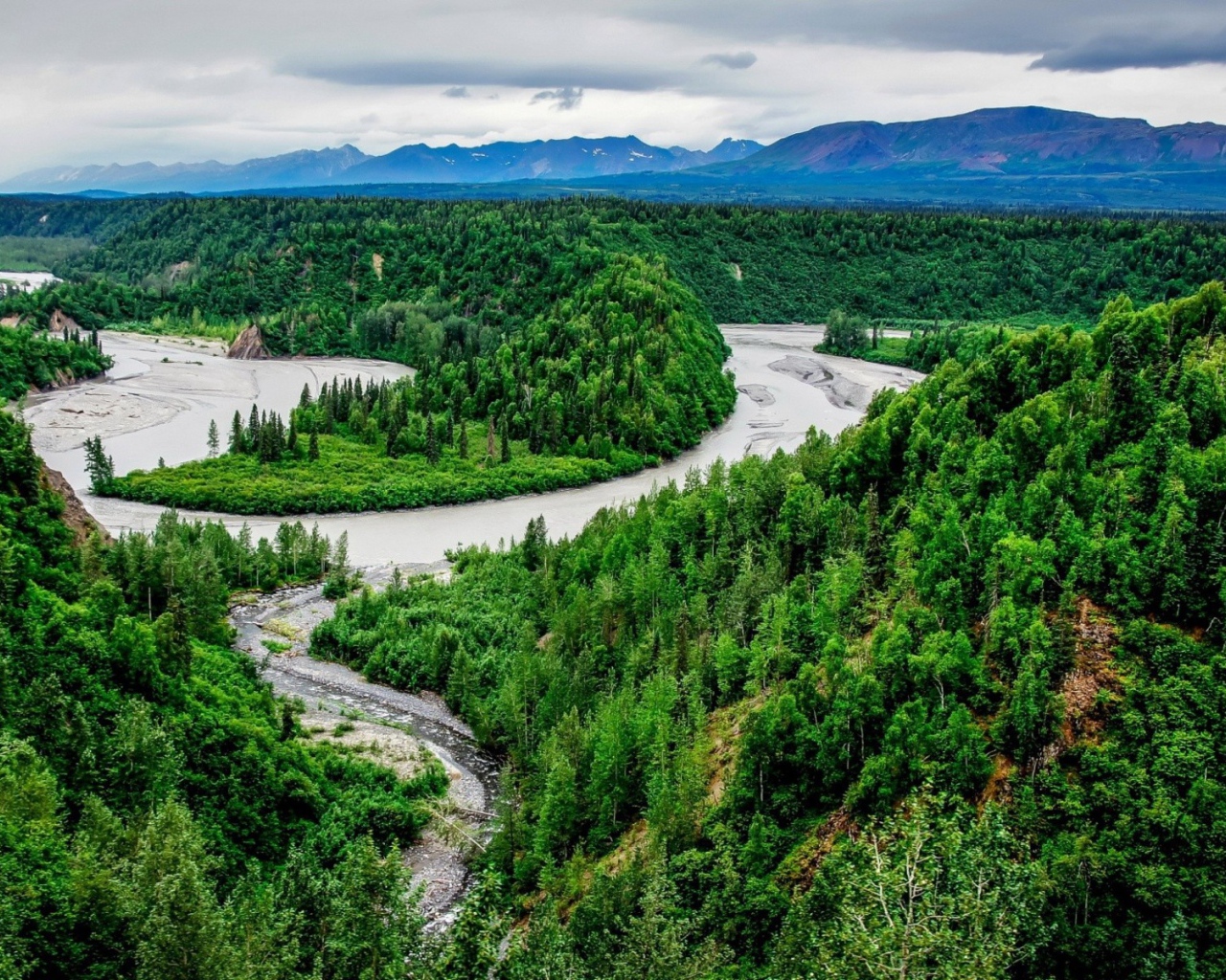 Ручей впадает в реку среди тундры
