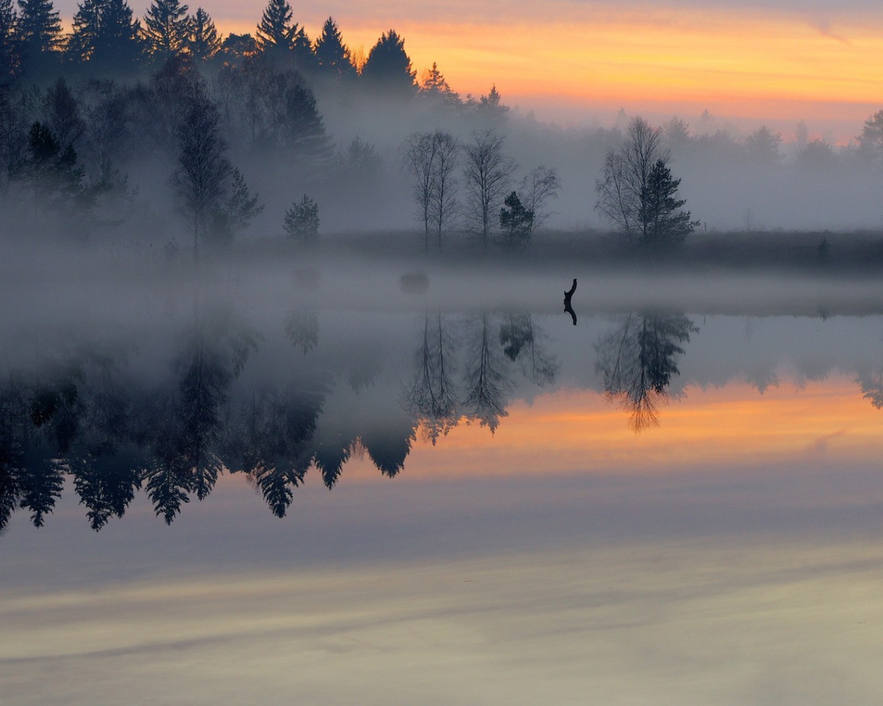 Густой утренний туман над небольшой рекой