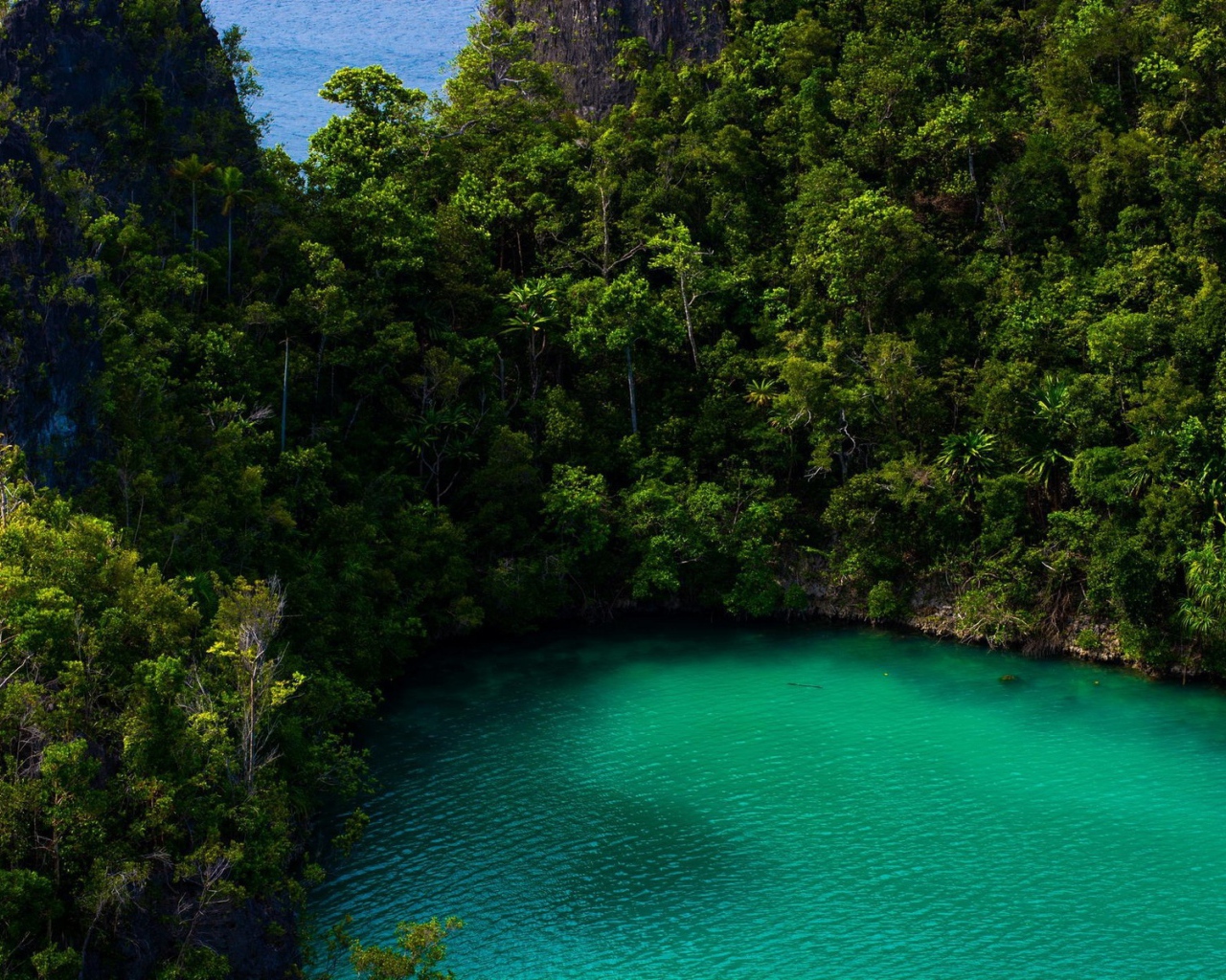 Бирюзовое озеро в тропическом лесу