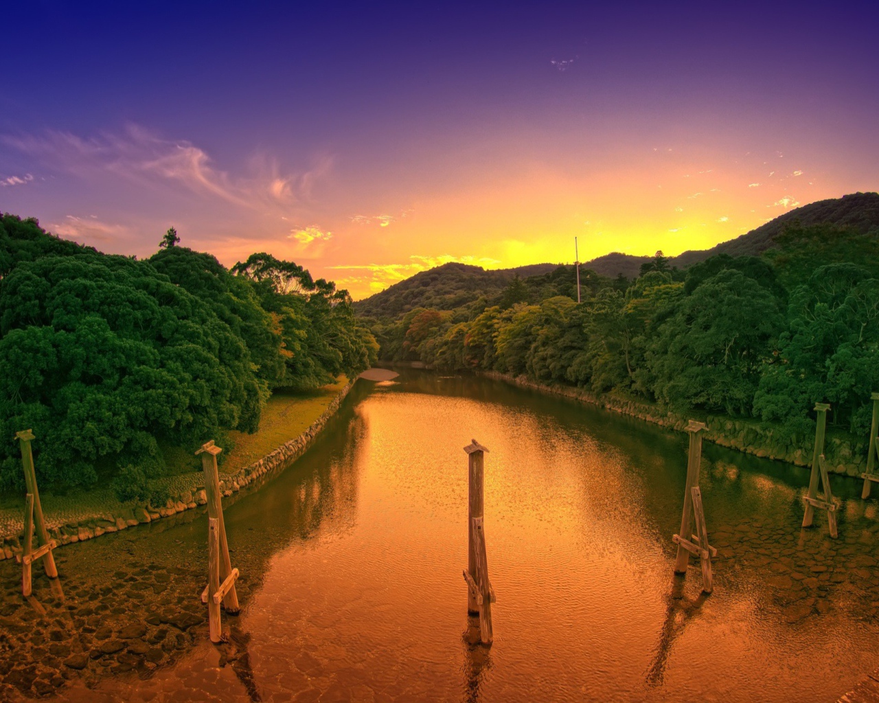 Деревянные столбы в канале