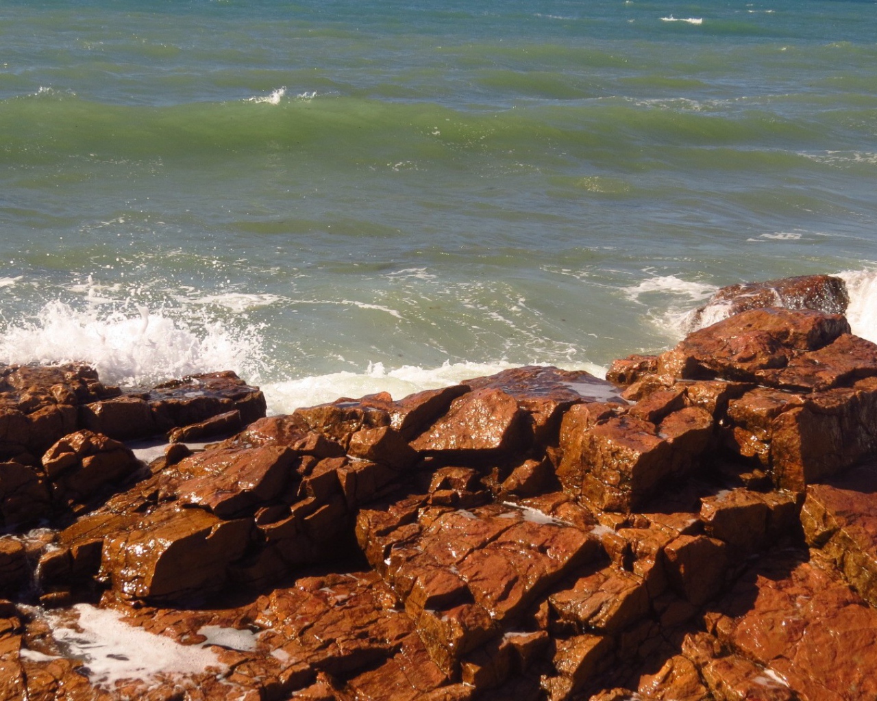 Коричневые камни на берегу моря