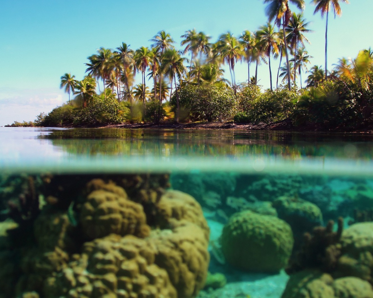 Прозрачная вода у берегов тропического острова