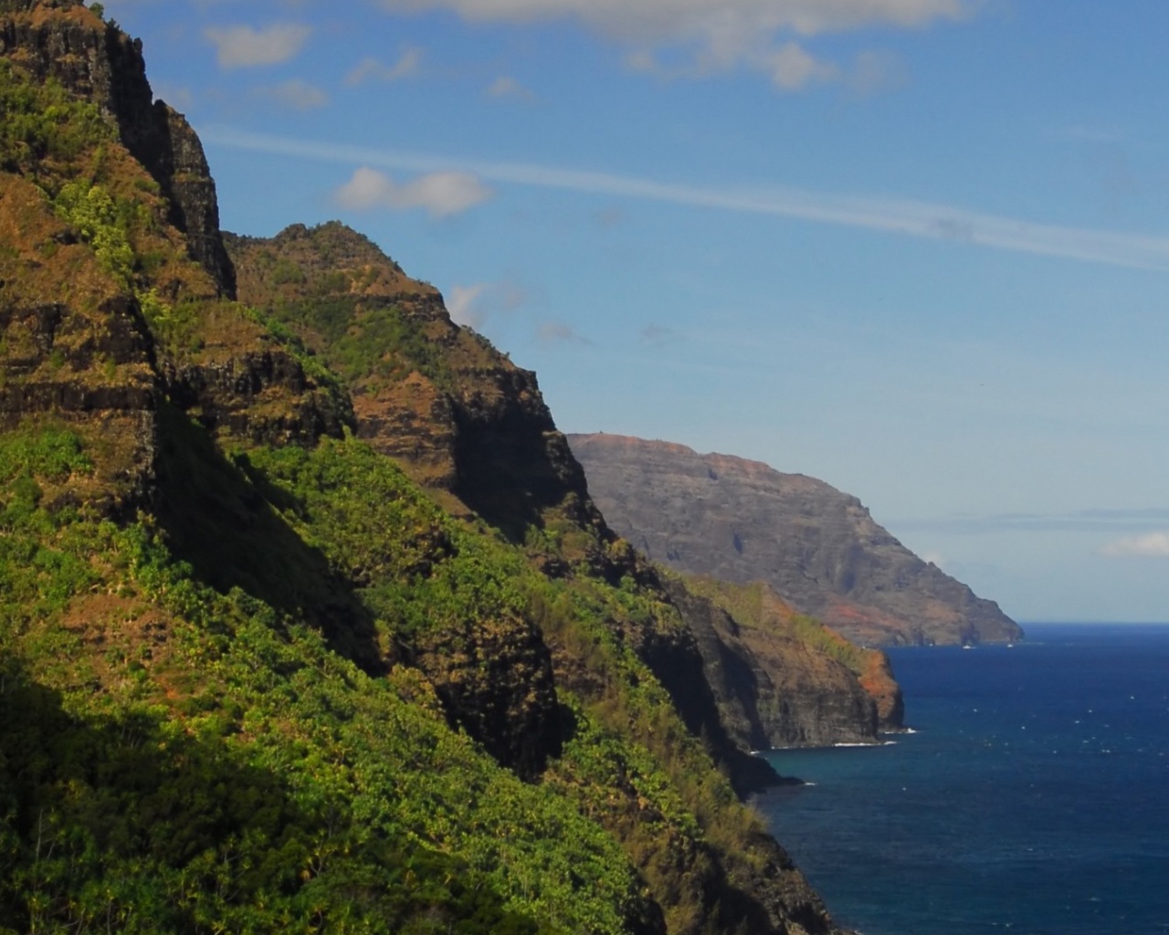 Покрытые лесом скалы над морем