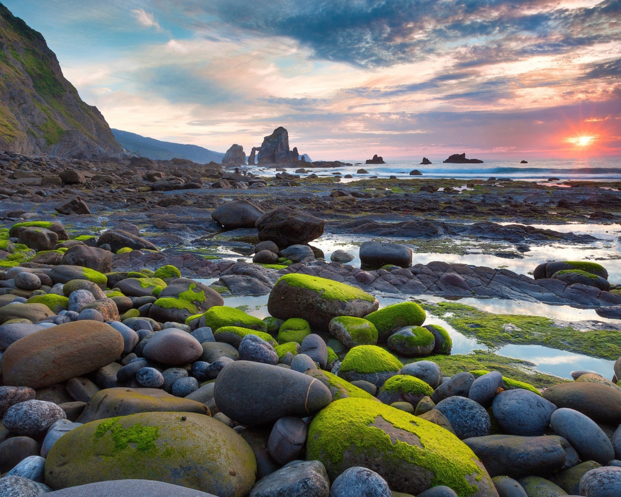 Мох на валунах у моря