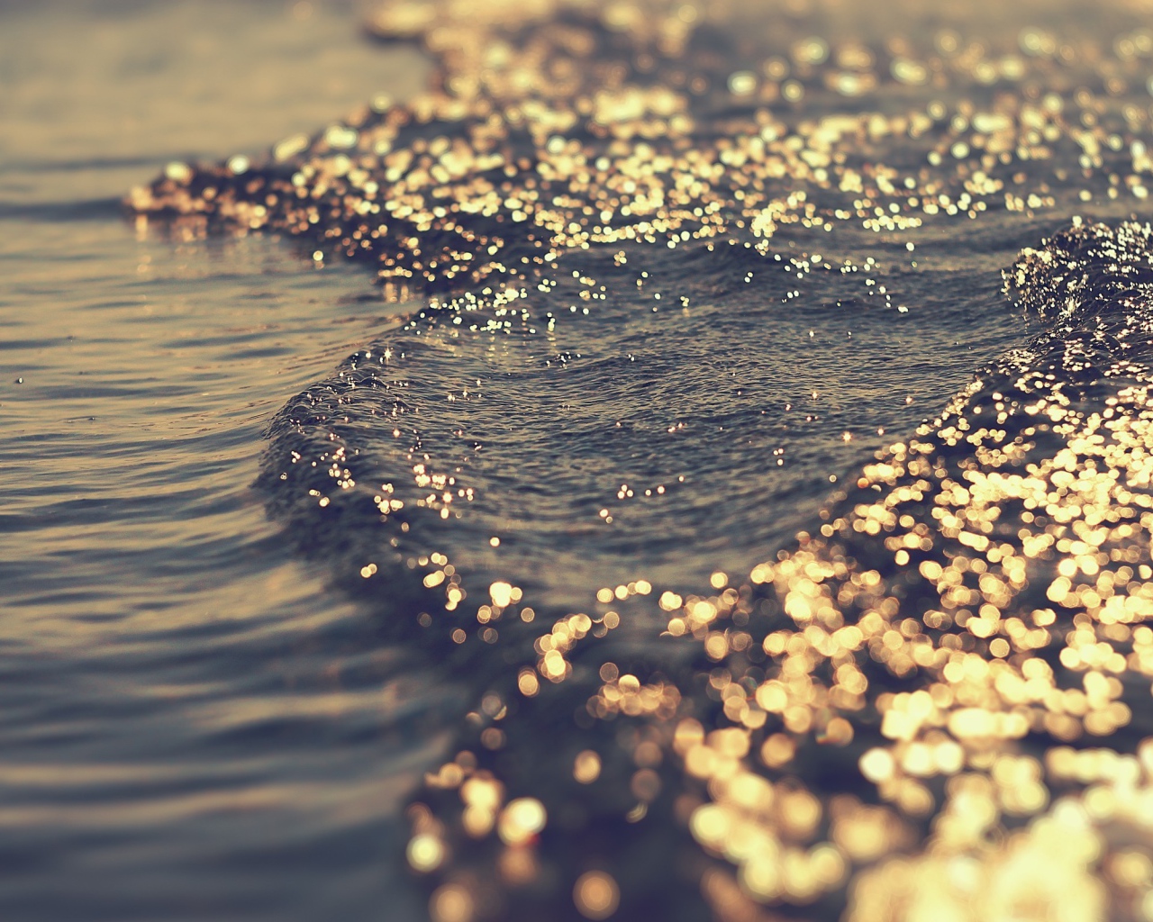 Солнце искрится на волнах