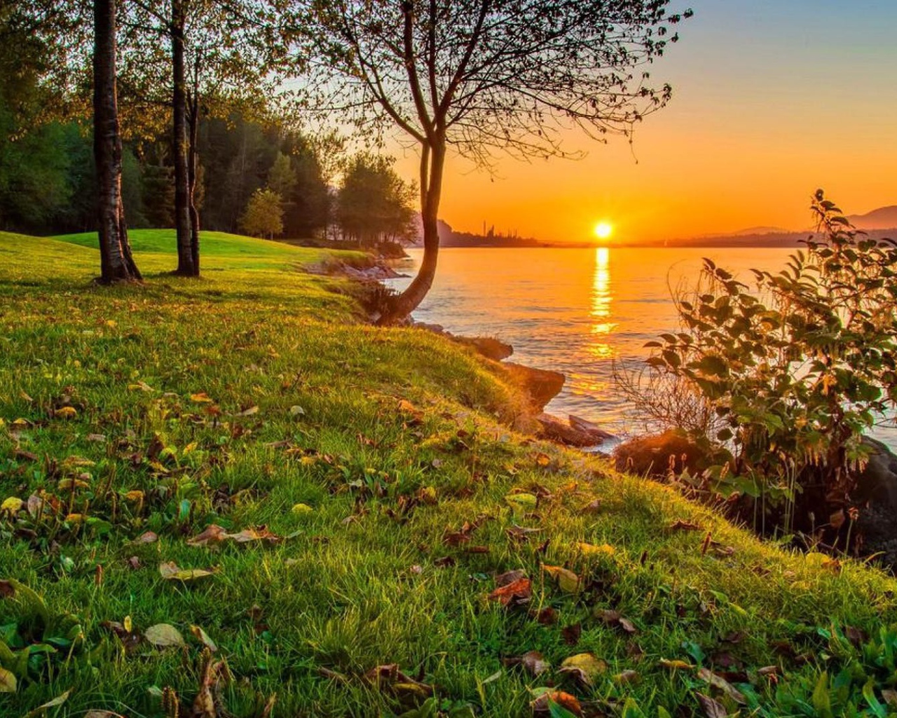 Зеленое побережье реки на закате