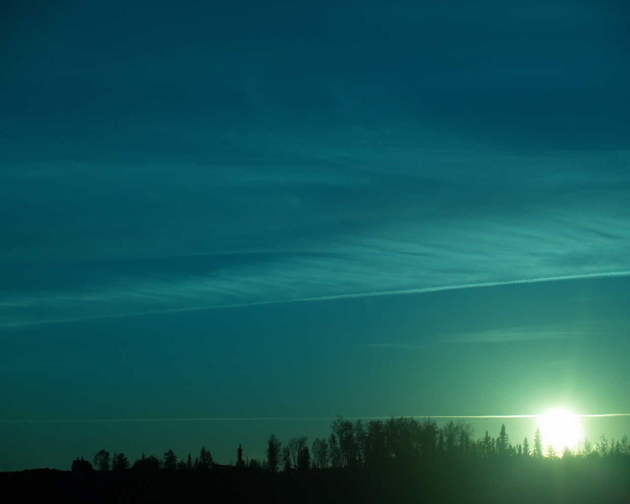 Зеленый закат над лесом