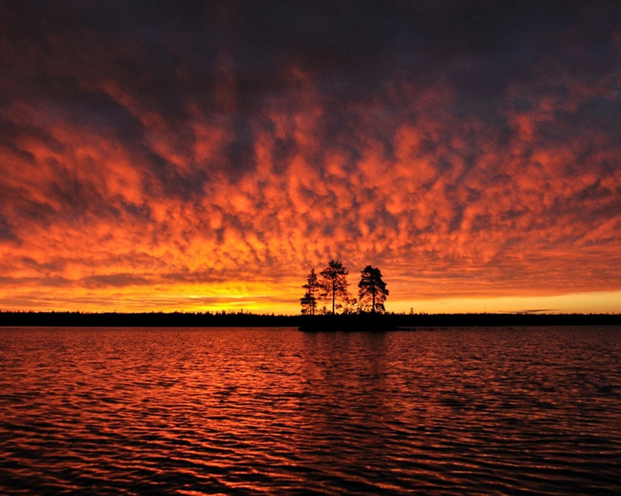 Силуэты деревьев на острове под горящим небом