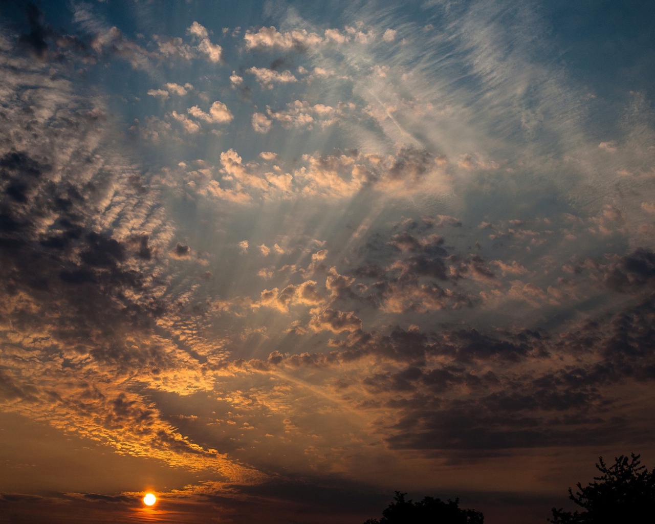 Солнце на закате освещает перистые облака