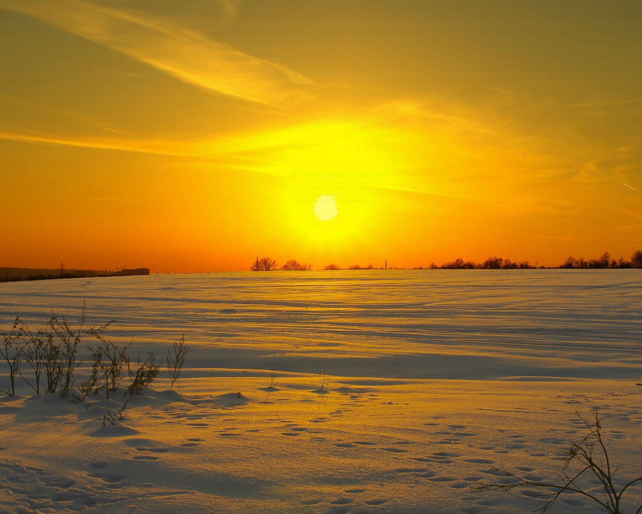 Солнце клонится к закату над заснеженным полем
