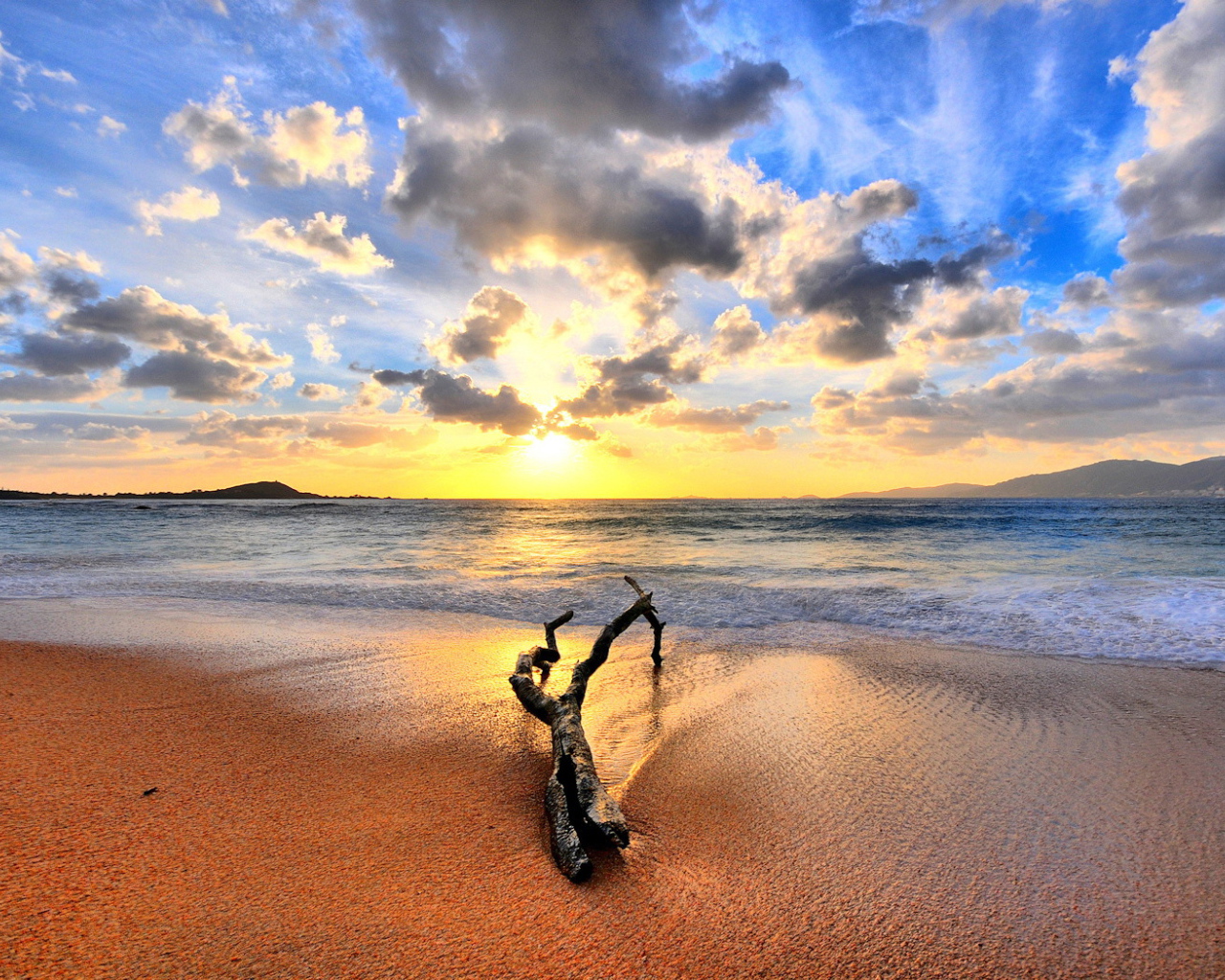 Закат на пляже с веткой