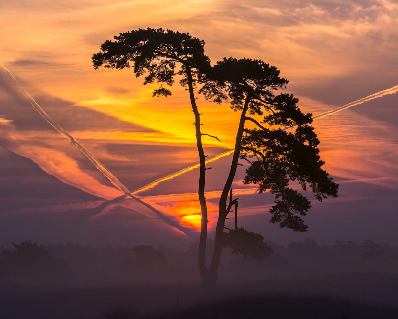 Следы самолетов на закате