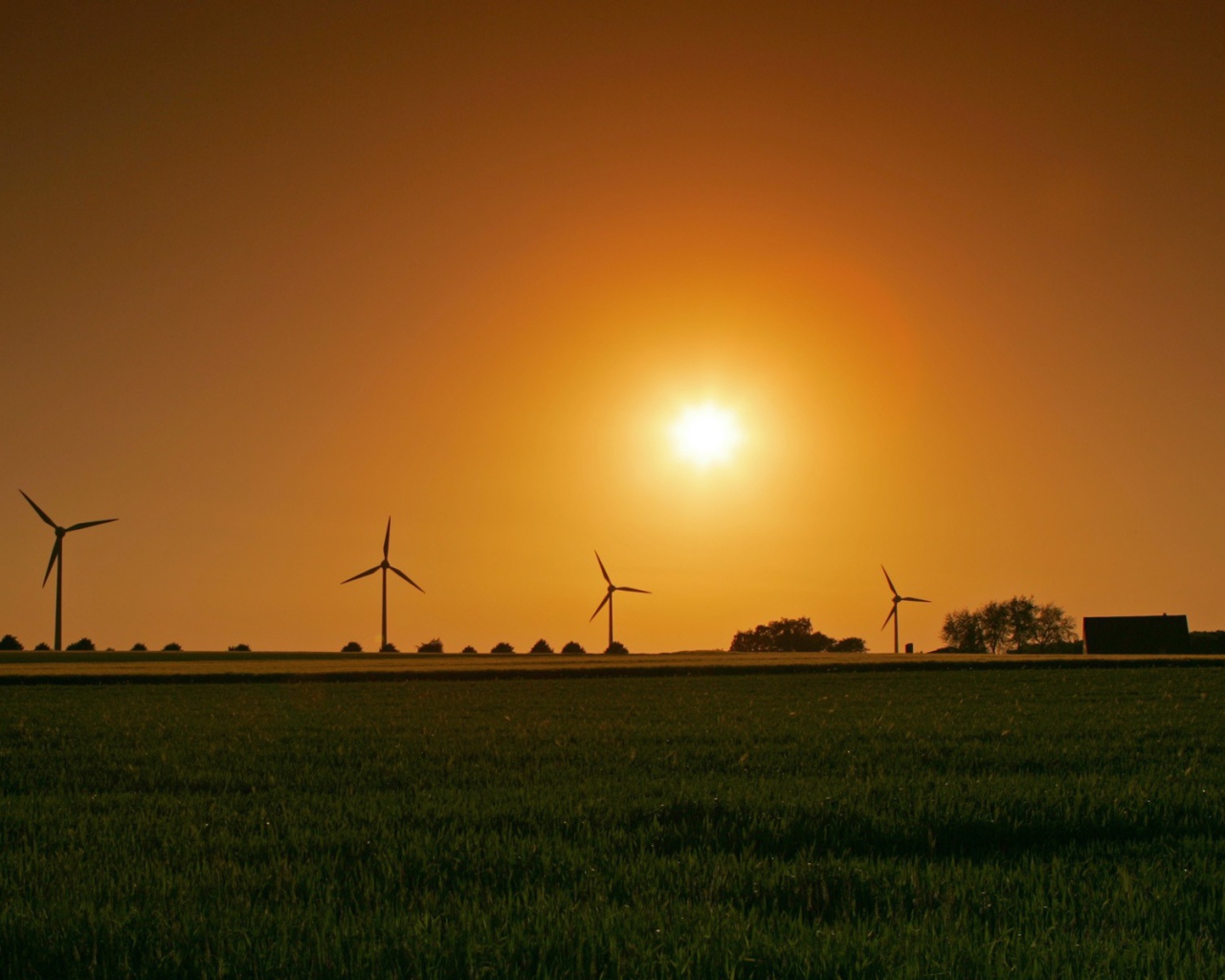 Ветряки на фоне заката