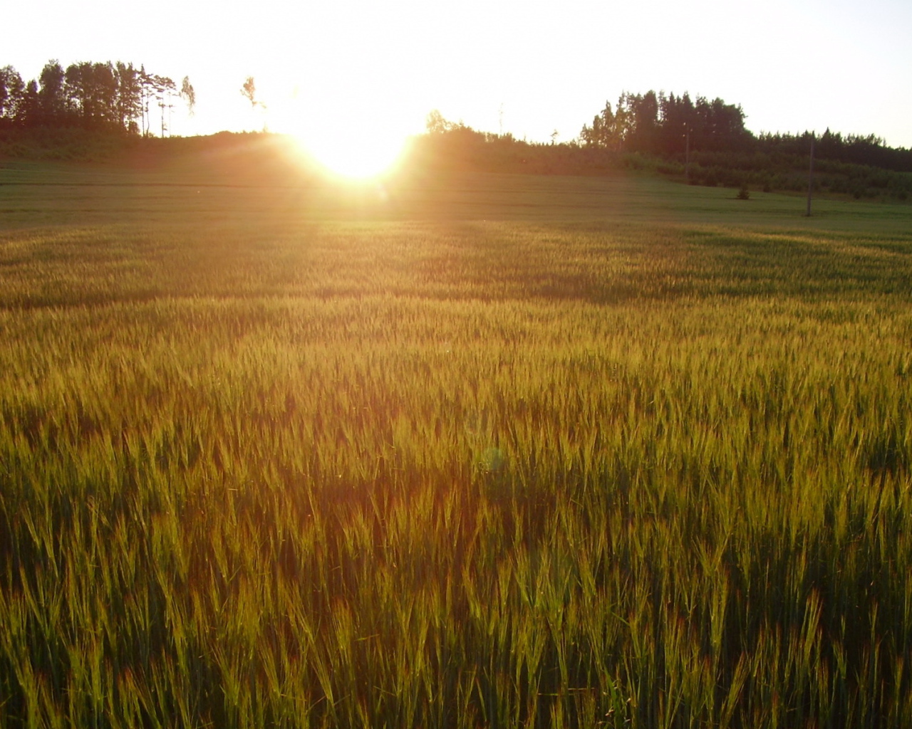 Солнце заходит за холм