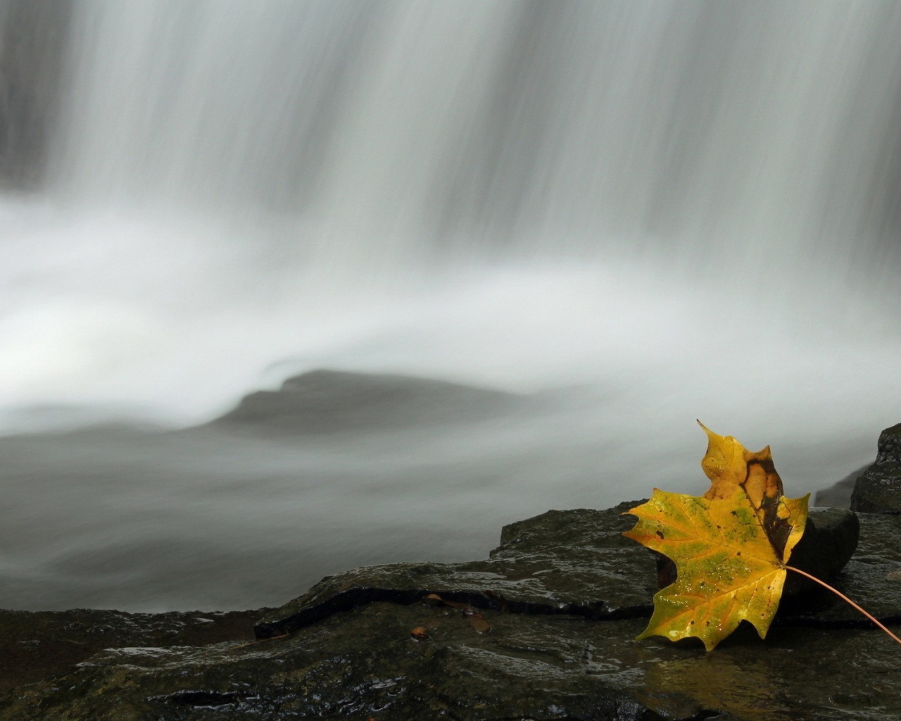 Осенний лист у водопада