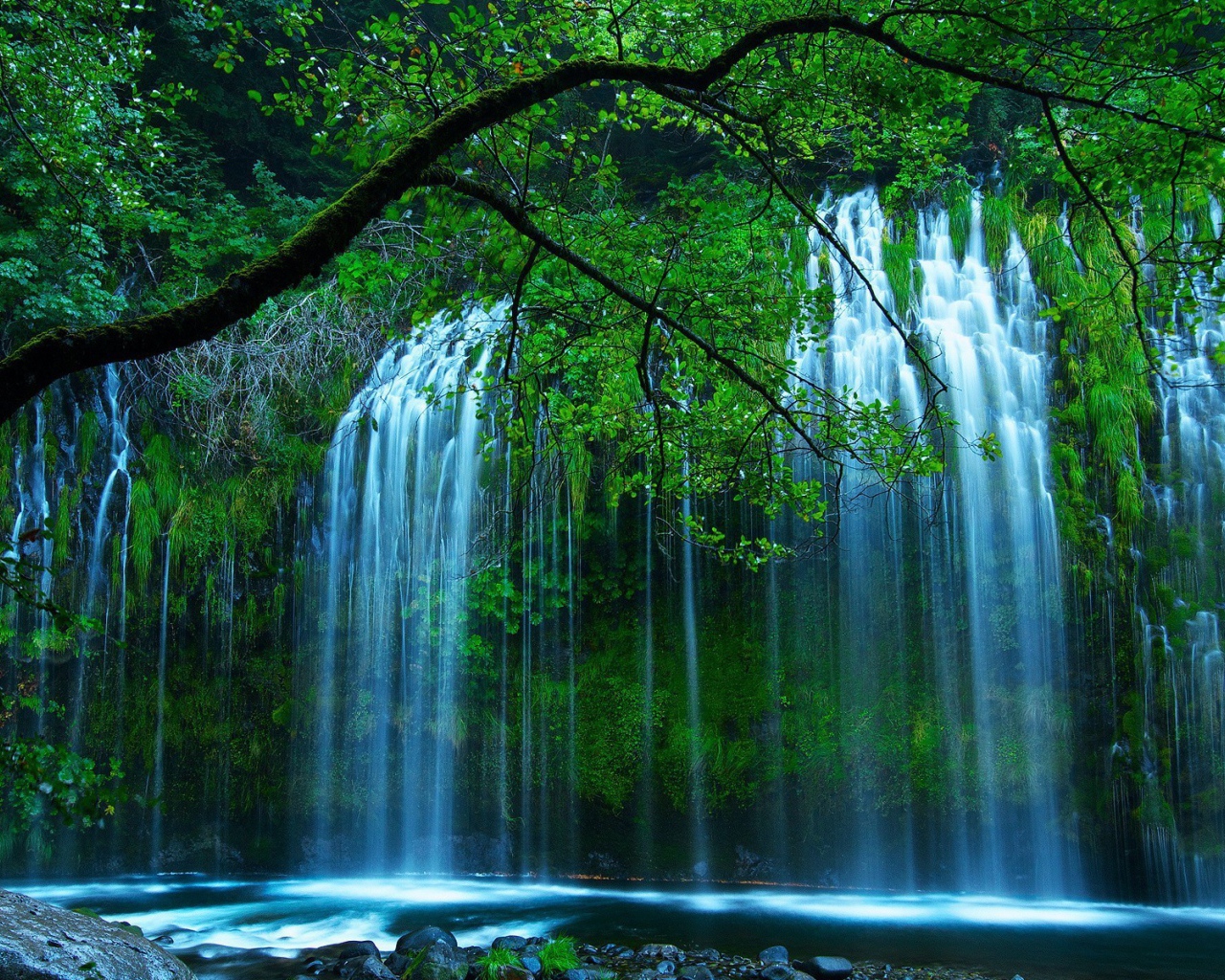 Красивый водопад среди зелени в чаще леса